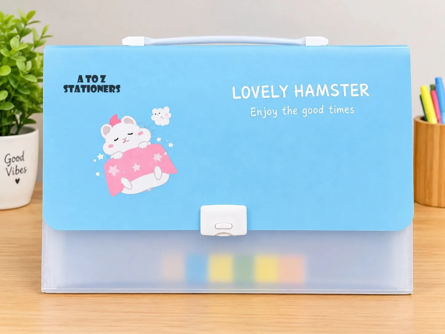 12 pocket file